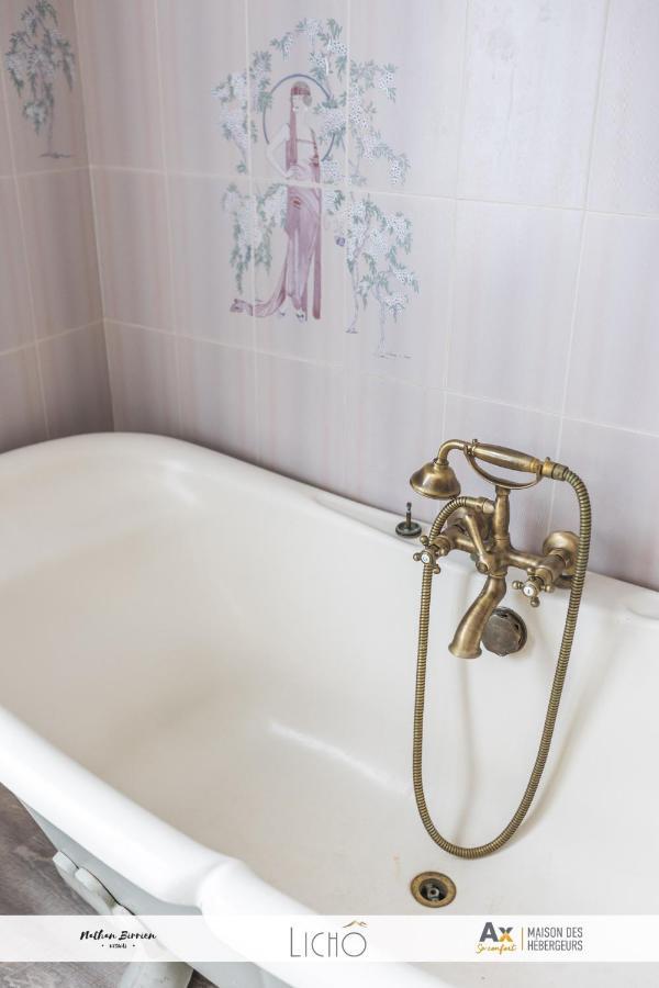 Apartament La Terrasse Bleue Ax-les-Thermes Zewnętrze zdjęcie